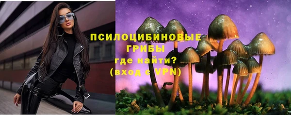 apvp Навашино